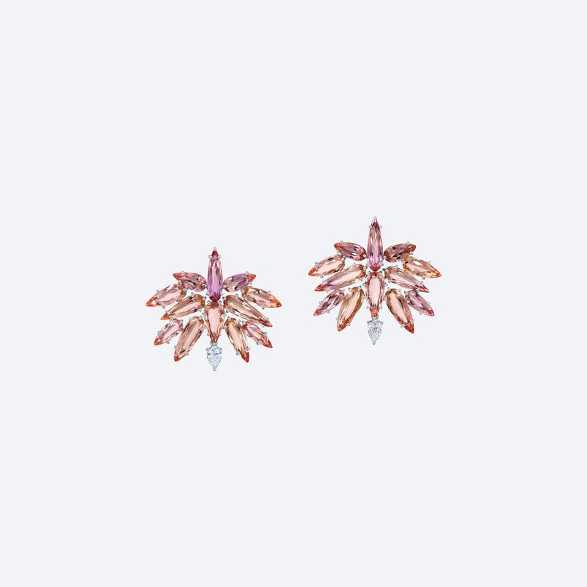 Caroá Earrings