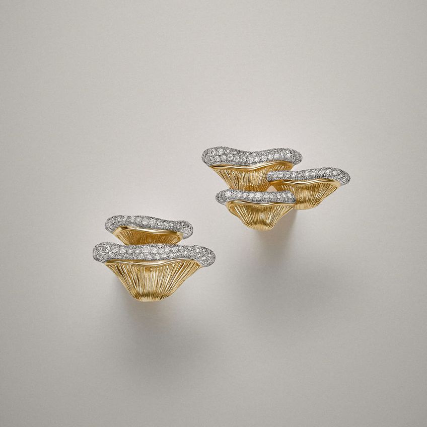 Oyster Diamond Earrings